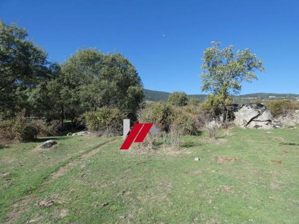 Terreno en calle de los Doctores Gómez Embuena