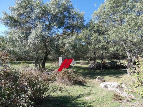 Terreno en calle de los Doctores Gómez Embuena