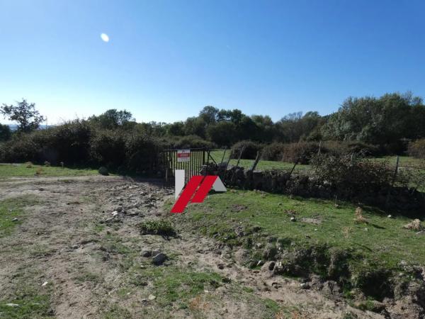 Terreno en calle de los Doctores Gómez Embuena