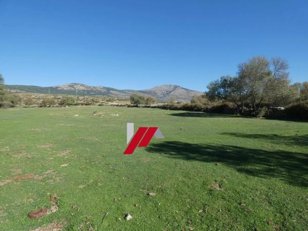 Terreno en calle de los Doctores Gómez Embuena