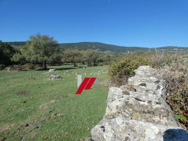 Terreno en calle de los Doctores Gómez Embuena