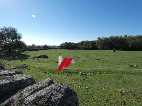 Terreno en calle de los Doctores Gómez Embuena