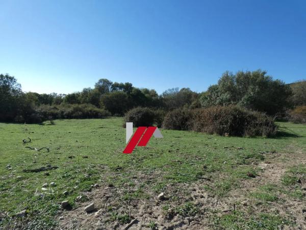 Terreno en calle de los Doctores Gómez Embuena