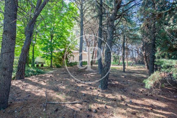 Terreno en calle de Santiago Rodríguez Conde