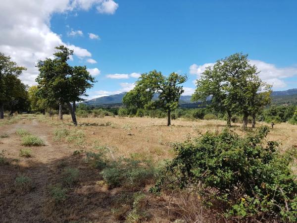 Terreno en M-622 s/n