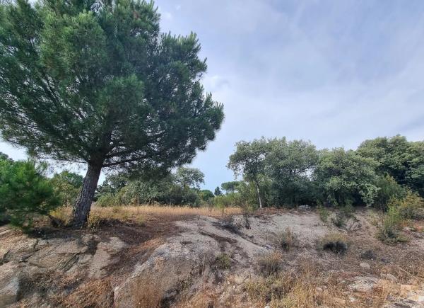 Terreno en calle de Santiáñez, 2
