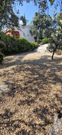 Terreno en avenida Asturias, 168