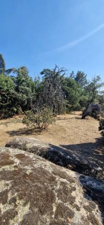 Terreno en avenida Asturias, 168