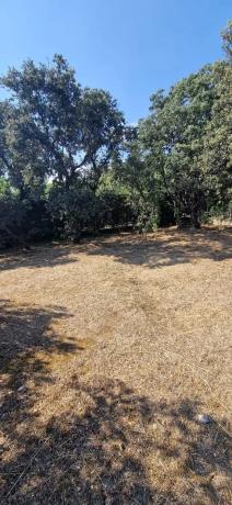 Terreno en avenida Asturias, 168