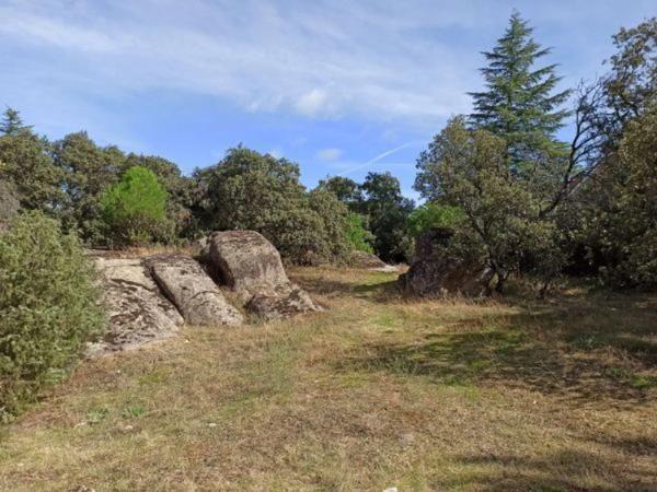 Terreno en avenida Asturias, 168