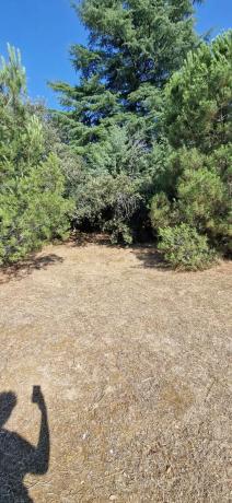 Terreno en avenida Asturias, 168