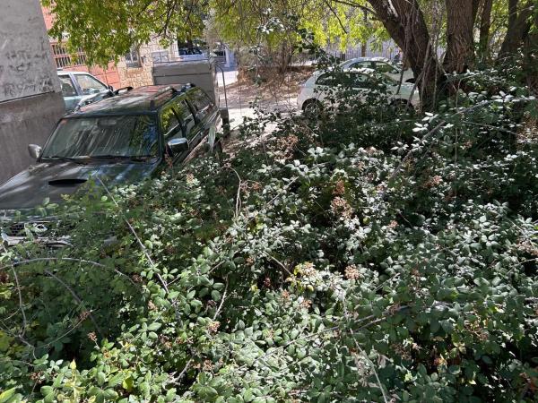 Terreno en calle La Paloma, 10