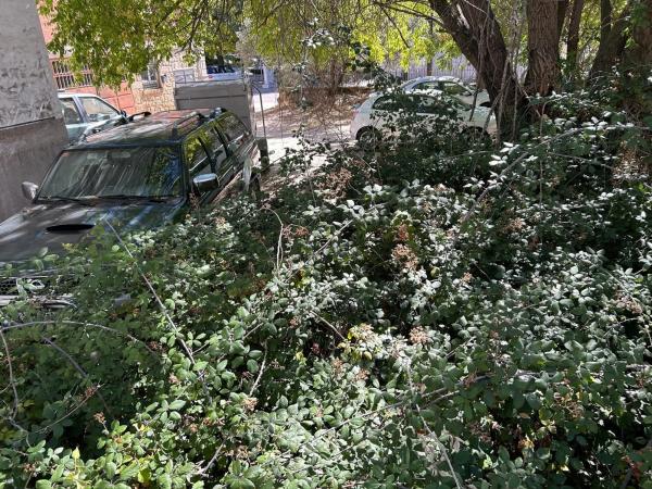 Terreno en calle La Paloma, 10