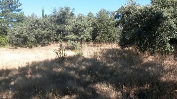 Terreno en avenida Asturias, 49