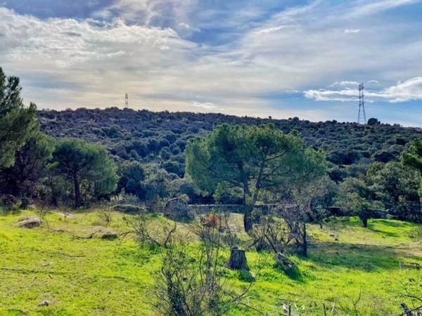 Terreno en calle Cayetano Ruiz