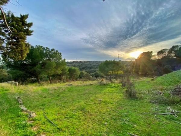 Terreno en calle Cayetano Ruiz