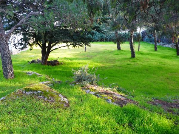 Terreno en calle de Damián Blasco, 6