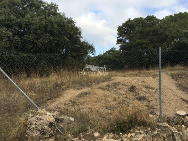 Terreno en calle xuncalera s/n