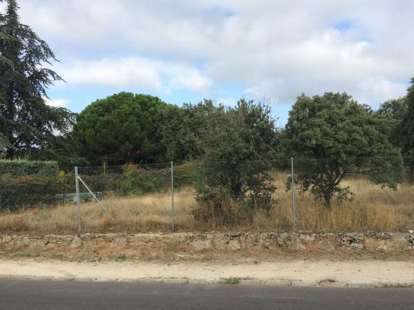 Terreno en calle xuncalera s/n