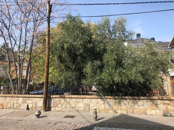 Terreno en avenida de la Paloma