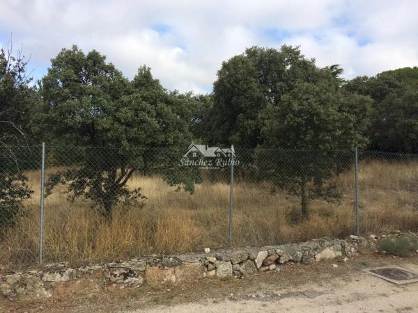 Terreno en calle xuncalera s/n