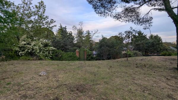 Terreno en calle Halcón, 1