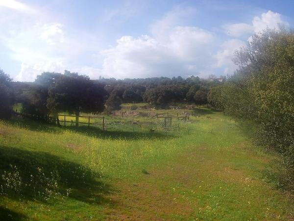 Terreno en calle Diseminados, 43