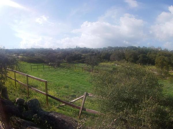 Terreno en calle Diseminados, 43