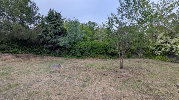 Terreno en calle Halcón, 1