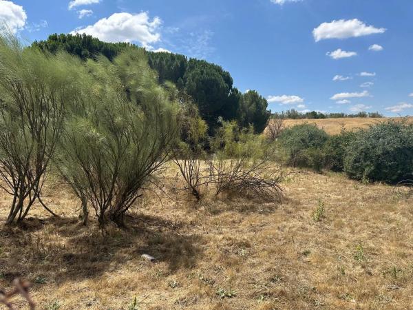 Terreno en calle Géminis
