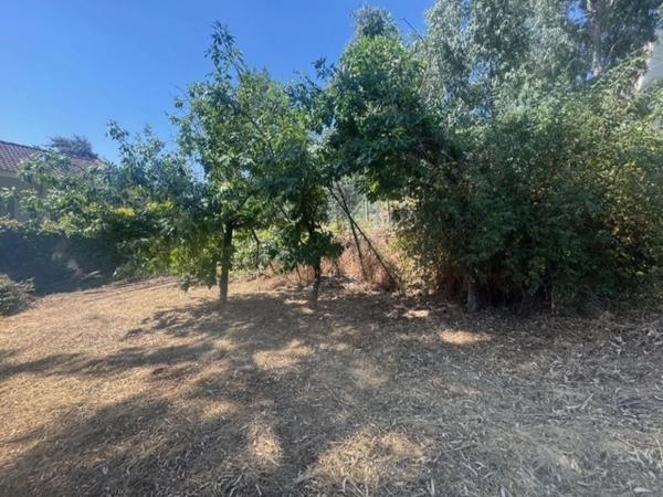 Terreno en calle I, 3