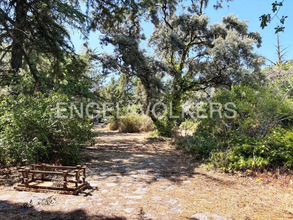 Terreno en Barrio Las Matas- Peñascales