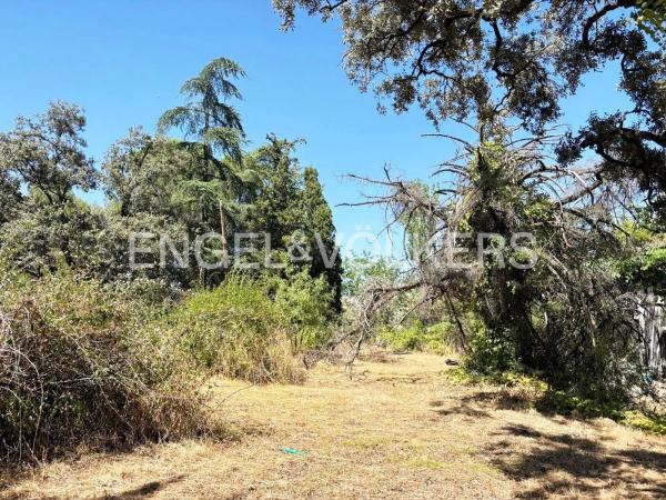 Terreno en Barrio Las Matas- Peñascales