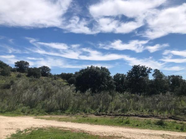 Terreno en camino Viejo de las Matas s/n