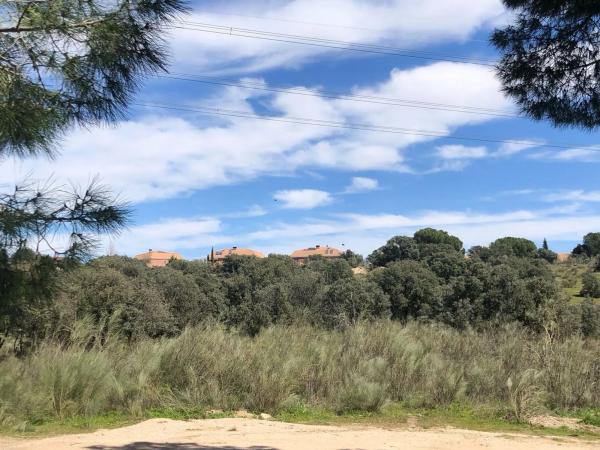 Terreno en camino Viejo de las Matas s/n