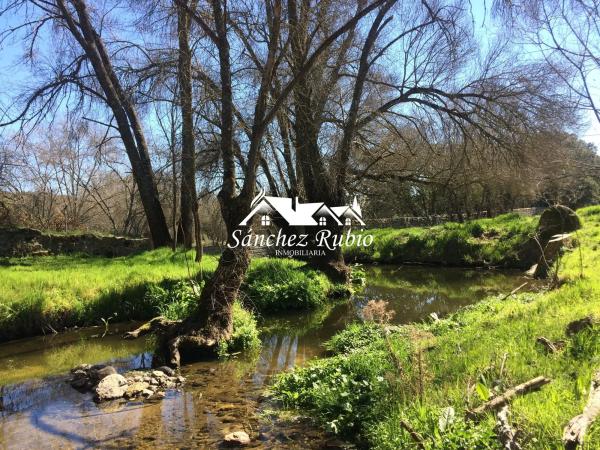 Terreno en la encina