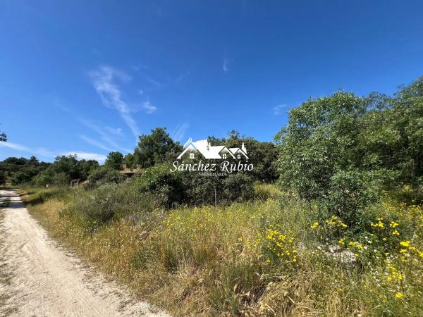 Terreno en la encina