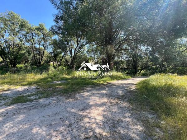 Terreno en la encina