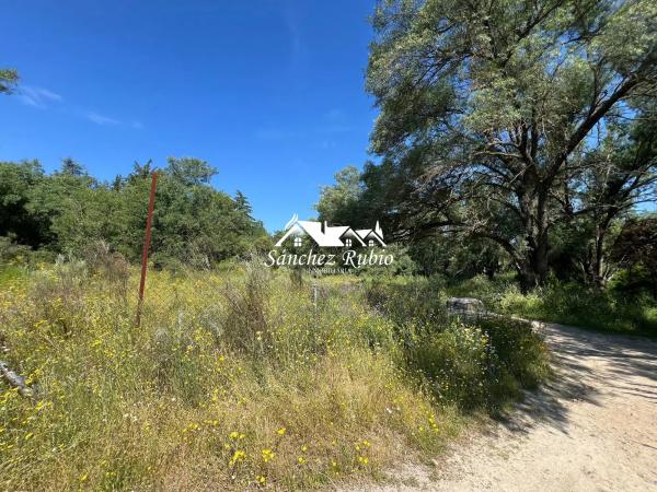 Terreno en la encina
