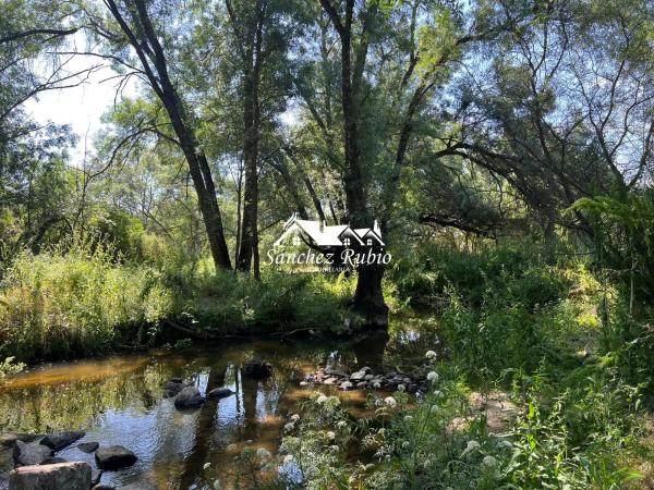 Terreno en la encina