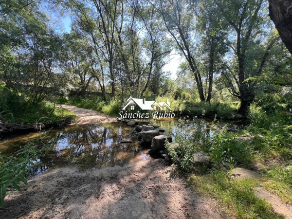 Terreno en la encina