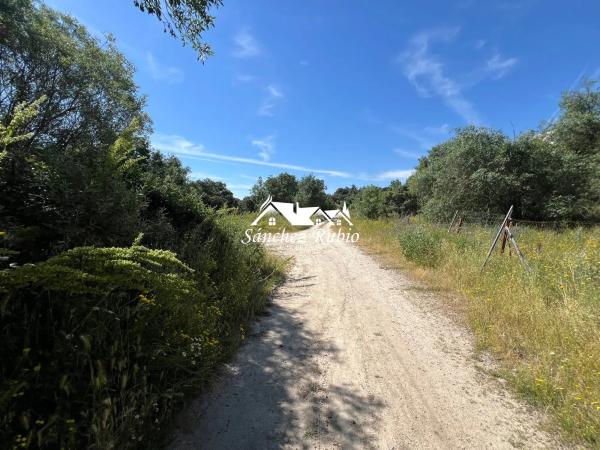 Terreno en la encina