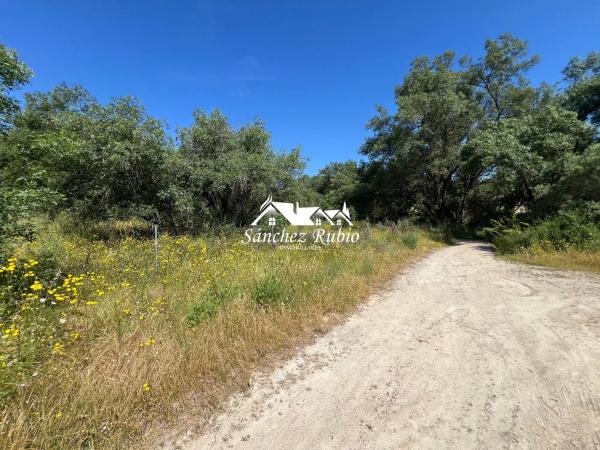 Terreno en la encina