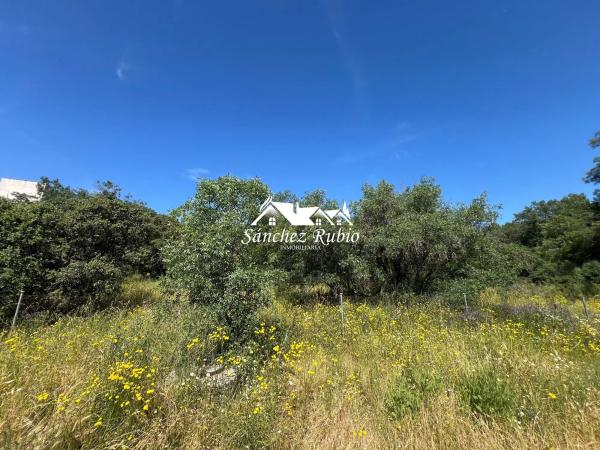 Terreno en la encina