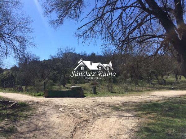 Terreno en la encina