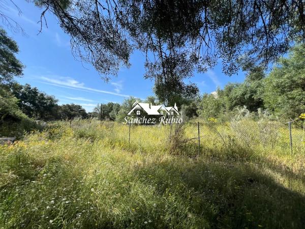 Terreno en la encina