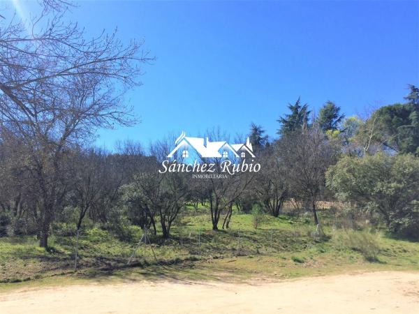 Terreno en la encina