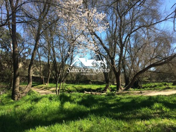 Terreno en la encina
