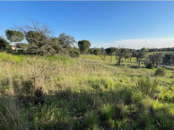 Terreno en calle Cabo Candelaria, 14