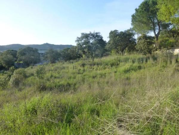 Terreno en calle Cabo Candelaria, 14